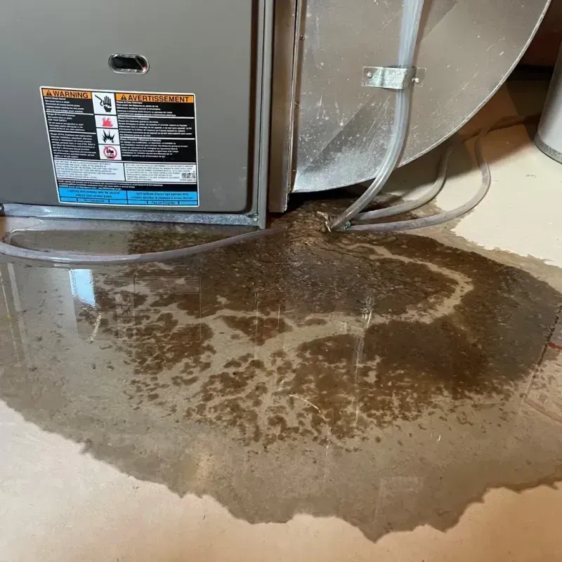 Appliance Leak Cleanup in Four Oaks, NC